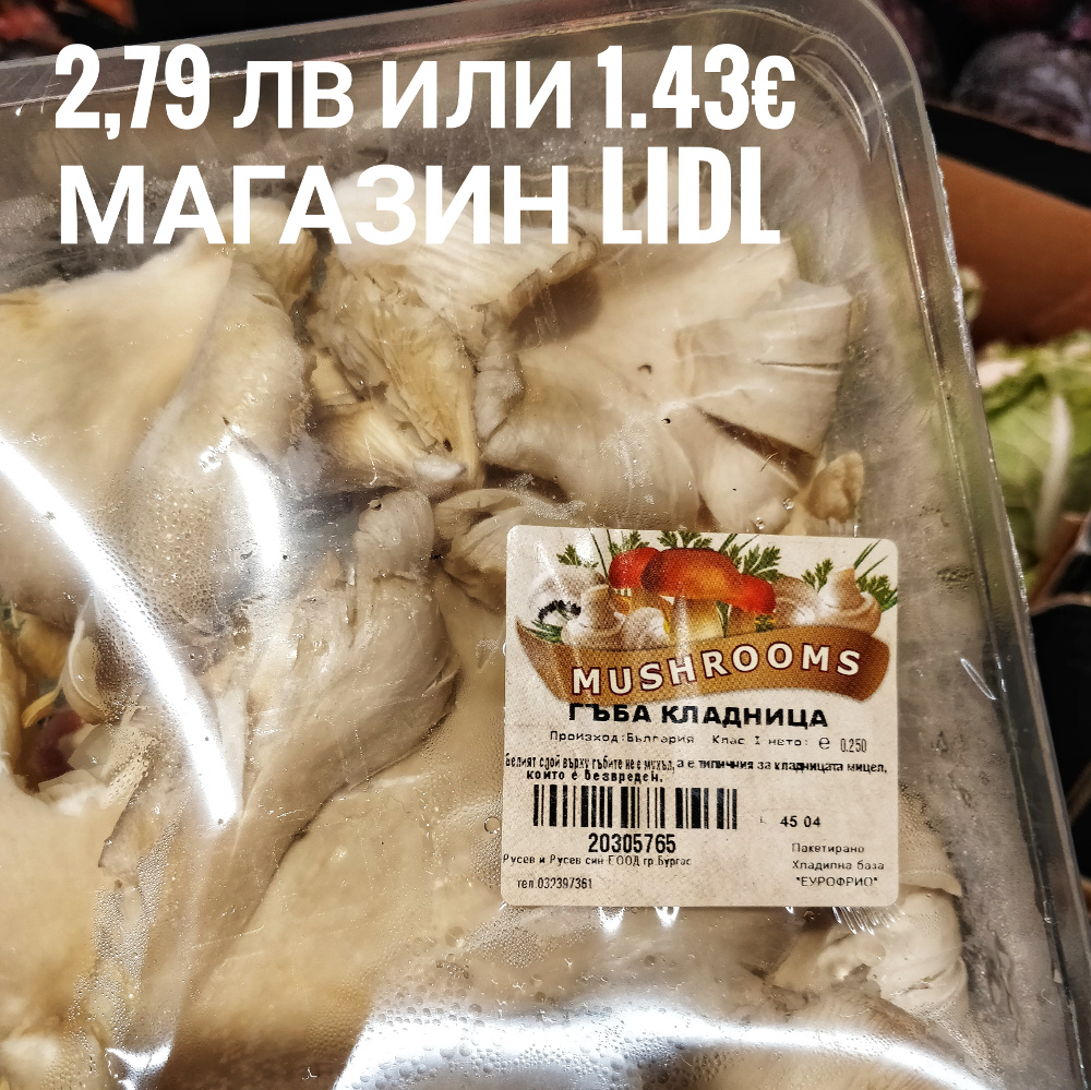 Болгарские грибы