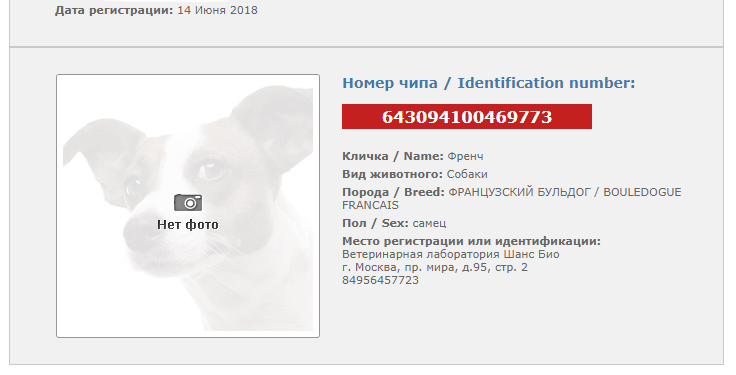 Информация о чипированном животном из единой общероссийской базы
