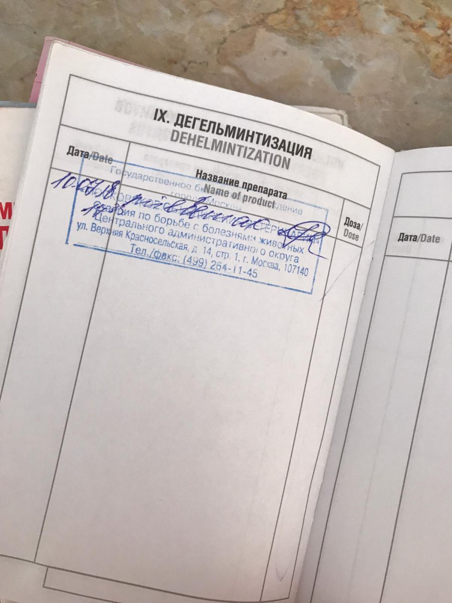 Важно до прививки от бешенства проглистогонить животное