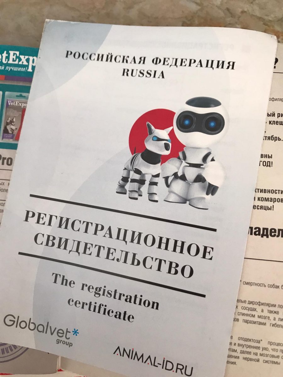 Внешний вид регистрационного свидетельства