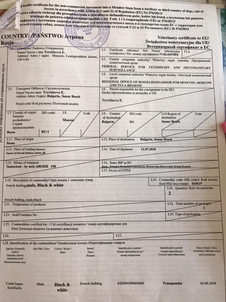 Документ о провозе животного заграницу на польском языке
