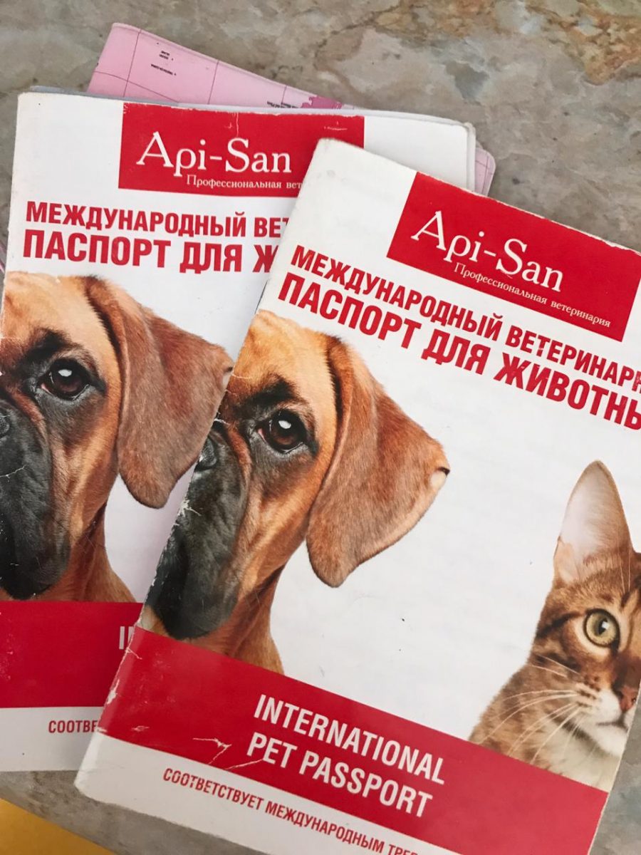 Международный ветеринарный паспорт
