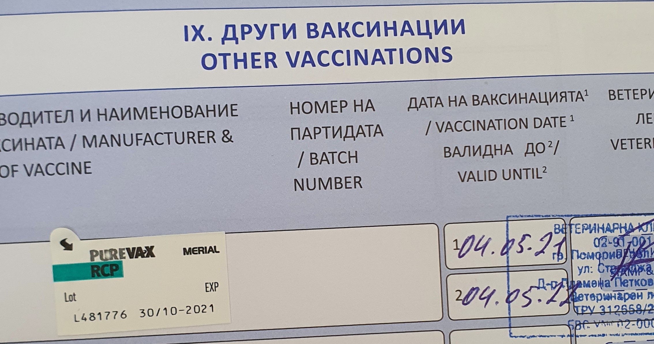 Вакцинация кошек от распространенных заболеваний