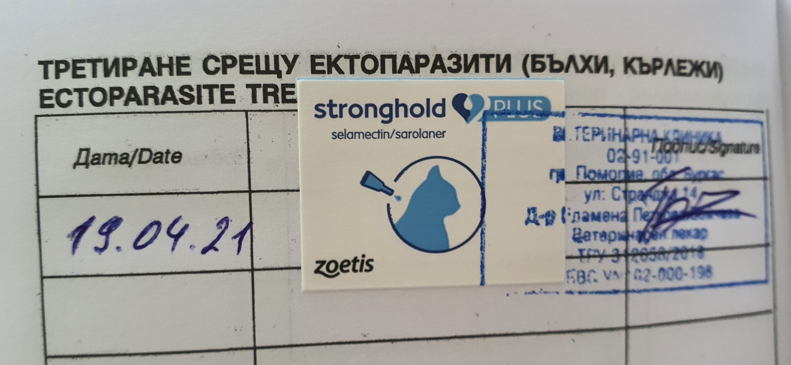 Обработка кошки каплями от паразитов