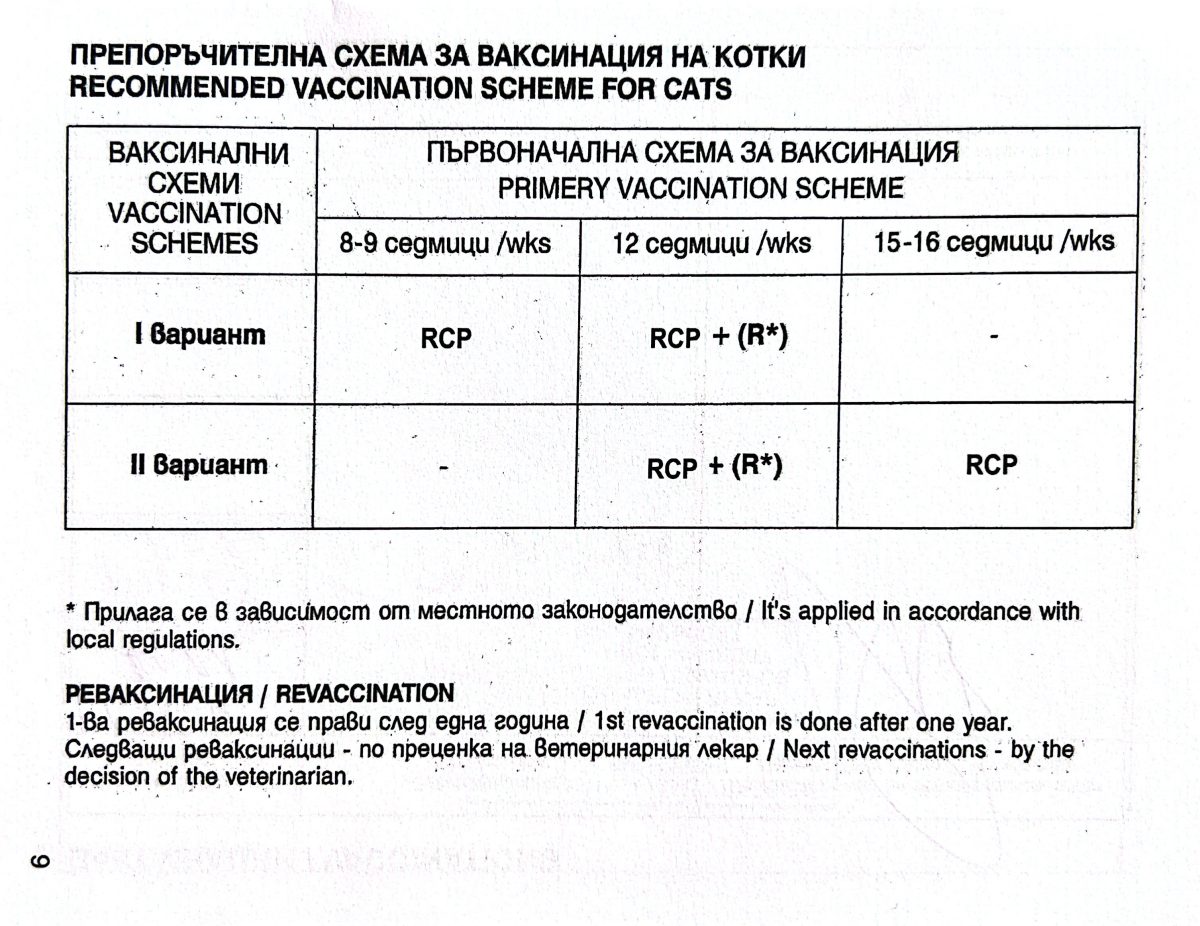 Схема вакцинации кошек в Болгарии